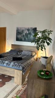 Apartmán Smrk - Vrbno pod Pradědem - 7