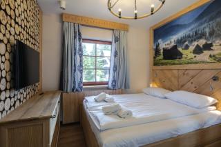 Górskie Szczyty Apart & SPA Apartament 11 Sauna Jacuzzi i Parking w cenie - Zakopane - 9