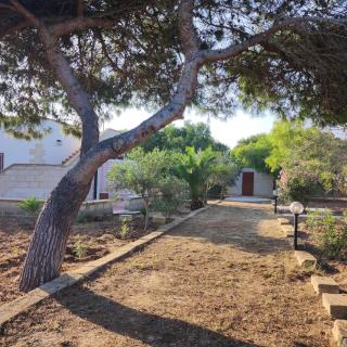 VILLA CIELO MARE - Favignana - 8