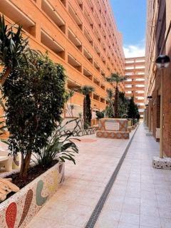 Apartamento Torremar M - El Borseral - 2