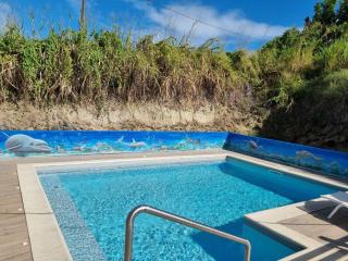 Villa Stone pour 8 personnes, piscine chauffée 5 euros par jour, accès PMR, 5 étoiles - Sainte-Luce - 3