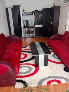Apartman Dragana - Pirot - 8