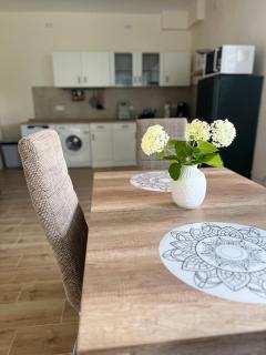 Ferienwohnung Villa Einetal - Aschersleben - 8