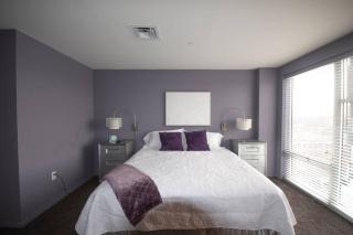 Luxury Condo in Downtown Champaign - Champaign - 9