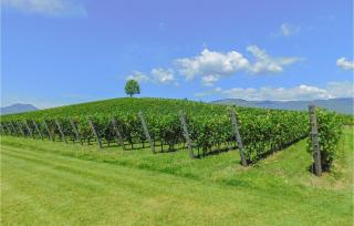 Lisola Che Non Cè - Cividale del Friuli - 5