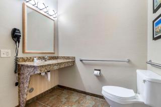 Comfort Inn & Suites Mitchell I-90 - Mitchell - 7