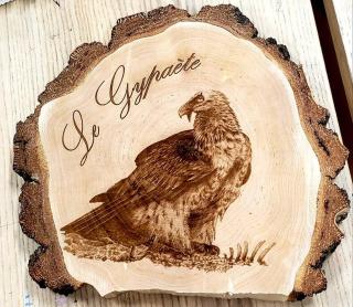 Le Gypaète - Charmant Studio 4 pers - Tout Confort - Bourg-Saint-Maurice - 1
