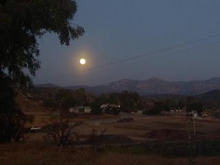 George Gardens - Ramona - 2