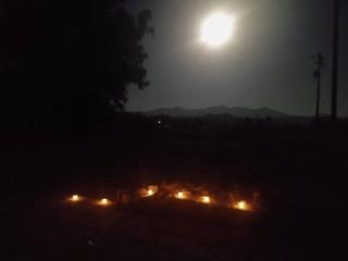 George Gardens - Ramona - 1
