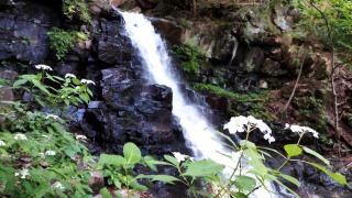 Fuyosankyoenka - Vacation STAY 17757v - Fujikawaguchiko - 5