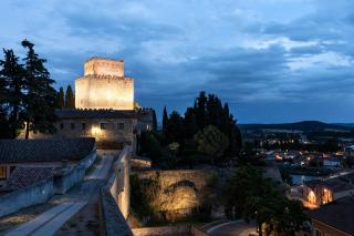 Parador de Ciudad Rodrigo - Ciudad-Rodrigo - 7