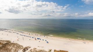 Phoenix Gulf Tower 1603 condo - Gulf Shores - 1