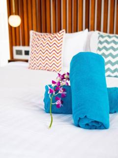 Villa Bala 3 bed Elephant Haven! - Amphoe Koksamui - 3