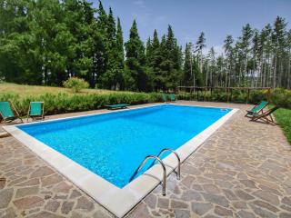 Cottage La Stefania near Anghiari in beautiful setting - Misciano - 0