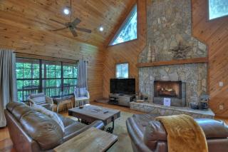 Lookout Lodge - Mineral Bluff - 4