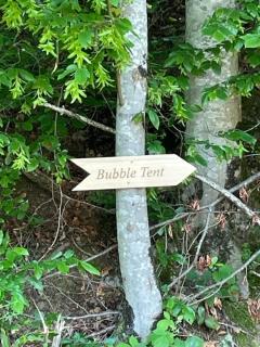 living TIMELESS- Bubble Tent Gutach - Schlafen unterm Sternenhimmel - Gutach im Breisgau - 9