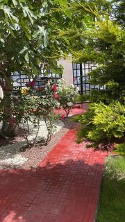 Vila Julia Costinesti - Costinesti - 1