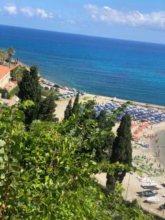 Hibiscus Apartment-casa per le vacanze vicino tropea - Briatico - 4