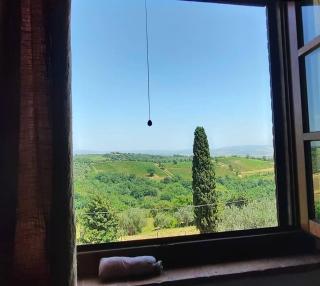 Agriturismo Salaiolo 176 - 4