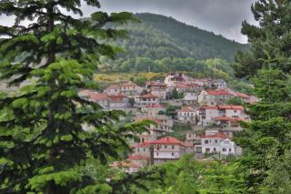Hotel Mitikas - 7