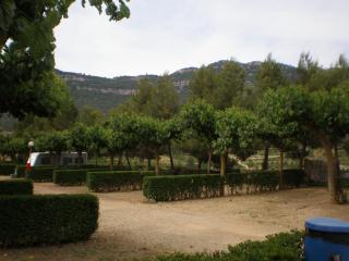 Montsant Park Camping & Bungalow - Ulldemolins - 9