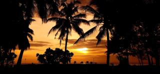Hotel Coral Bay - Trincomalee - 5