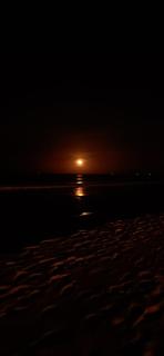 Hotel Coral Bay - Trincomalee - 7