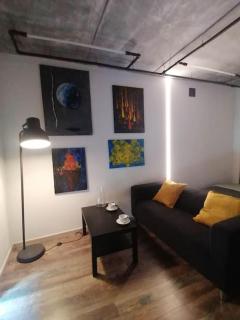 Erdvi studija Spacious studio apartment Self check in - Vilnius - 5