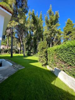 Villa Diomedes - Sani Beach - 5