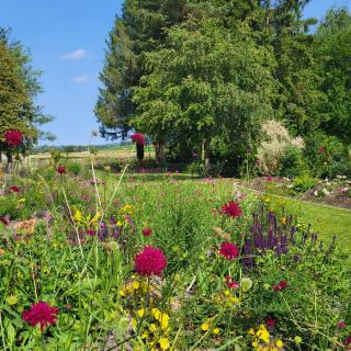 Komfort Ferienwohnungen mit Wellness-Garten - Gästehaus am Bachlauf - Losheim am See - Losheim - 7