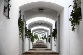 The view - Taormine - 9