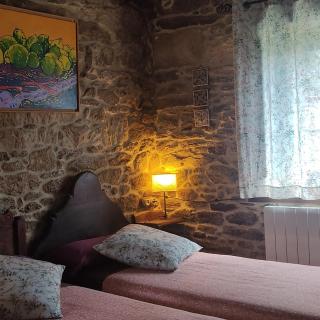 WITERICUS hospedaxe - 8