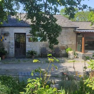 WITERICUS hospedaxe - 5