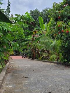 LUNAPIENA RESORTS - Tiruvankod - 2
