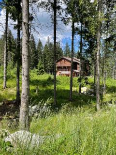Villa Aspen - Demanovska Dolina - 1