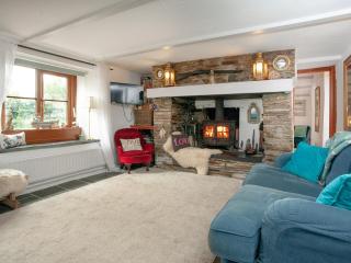 Railway Cottage - Camelford - 8