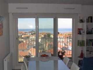 Appartement 113m2, vue spectaculaire sur océan et monts d'Espagne - Biarritz - 5