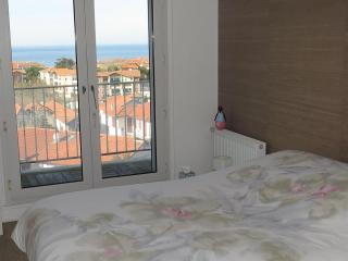 Appartement 113m2, vue spectaculaire sur océan et monts d'Espagne - Biarritz - 2
