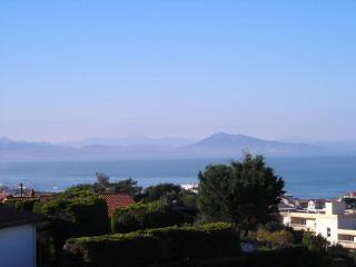 Appartement 113m2, vue spectaculaire sur océan et monts d'Espagne - Biarritz - 0
