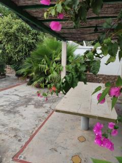 Apartamento en Las Rotas, Dénia - Dénia - 7