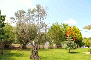 ☆OLIVE GARDEN VILLA☆ --NEA IRAKLITSA-- - Nea Iraklitsa - 7