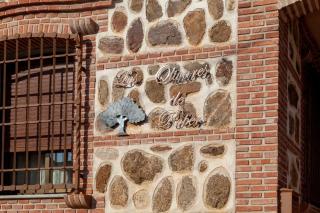 Los olivares de Rober - Polán - 9