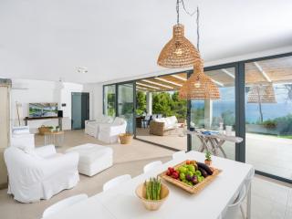 Dilean luxury villa - Vourvourou - 9