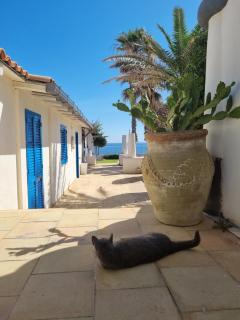 Villa Sicily Sul Mare Tra Catania e Siracusa - Augusta - 9