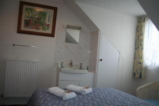 The Haldon Guest House - Paignton - 7