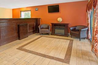 Super 8 by Wyndham Cincinnati-Springdale OH - 5