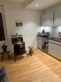 Beautiful Apartment in Central Zurich - Zurigo - 5