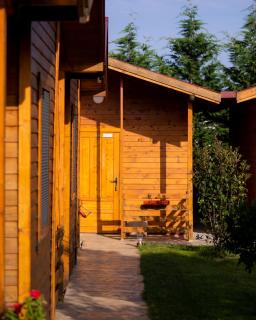 Sunny Garden - Ulcinj - 7