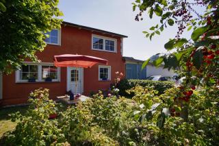zentral aber ruhig, Terrasse mit viel Grün - strandnahes Ferienhaus Luki - Göhren - 0