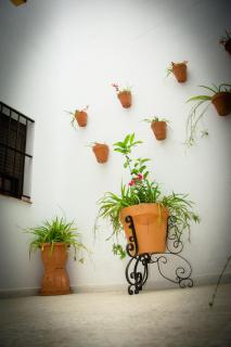 Hostal Malia - Conil de la Frontera - 3